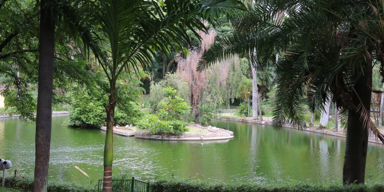 bh cidade bebida agua