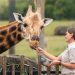 Foto: Divulgação/Australia Zoo