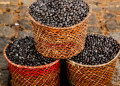 açaí