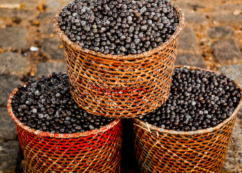 açaí