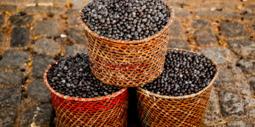 açaí
