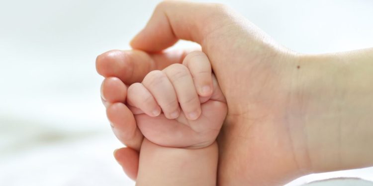 bebê