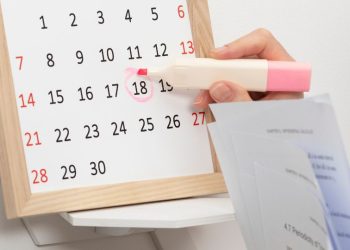 calendário