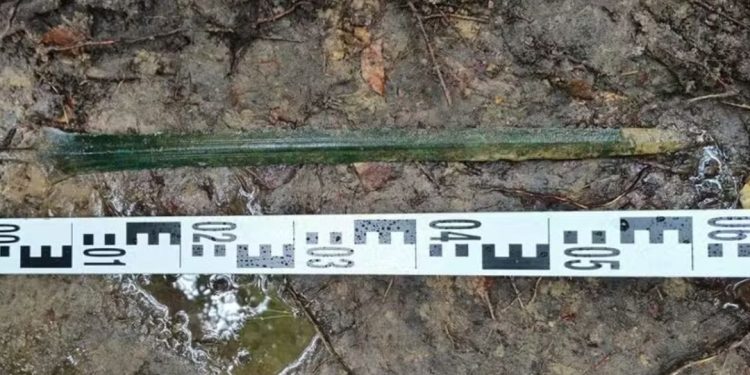 espada polonia