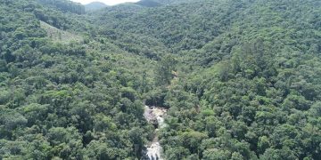 mata atlântica
