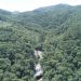 mata atlântica