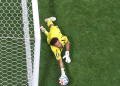 goleiro vozinha copa