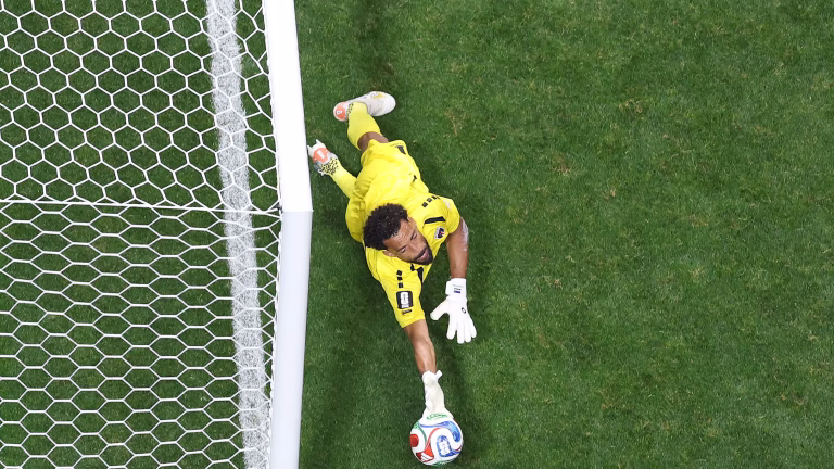 goleiro vozinha copa