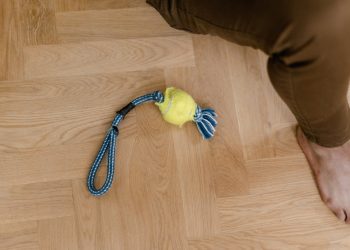 Foto ilustrativa: Mart Production/Pexels