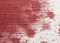 sangue