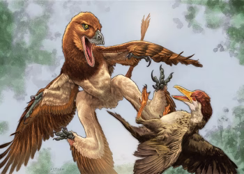 animal fossil cientistas