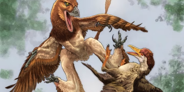 animal fossil cientistas