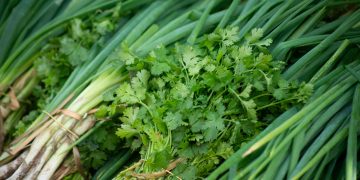 cheiro verde