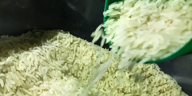 arroz brasil