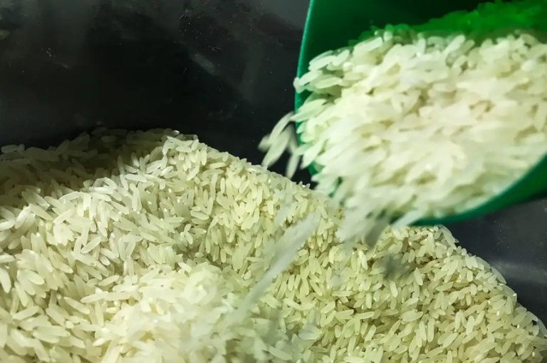arroz brasil