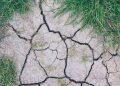 chão seco clima