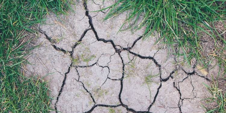 chão seco clima