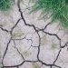 chão seco clima