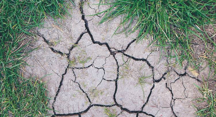 chão seco clima