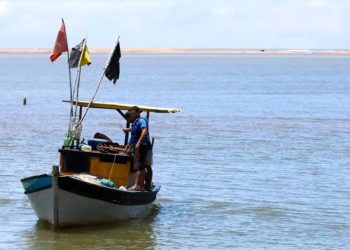 pesca