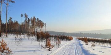 siberia
