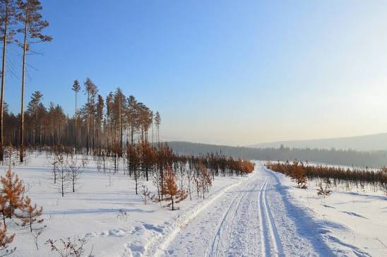siberia