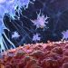 virus spray estudo gripe