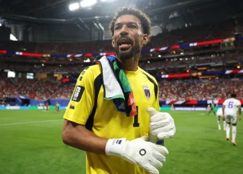 vozinha goleiro