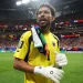 vozinha goleiro
