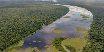 rio iça amazonas brasil
