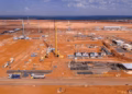 Foto: (Divulgação/Arauco)