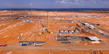 Foto: (Divulgação/Arauco)
