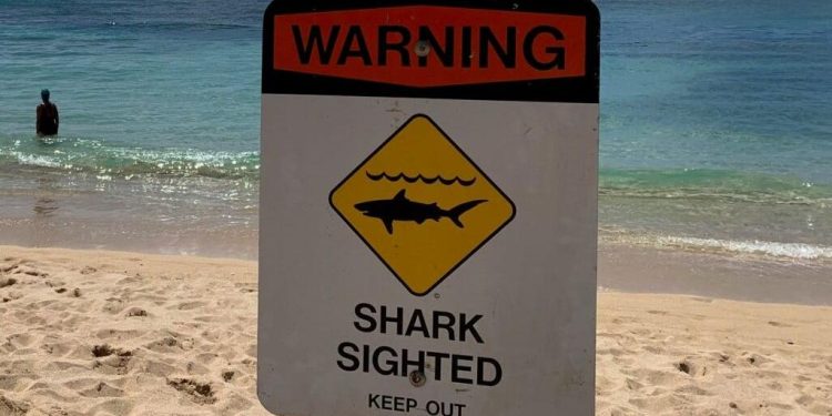 tubarao praia aviso