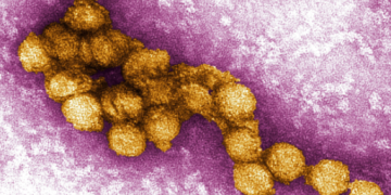 virus do nilo