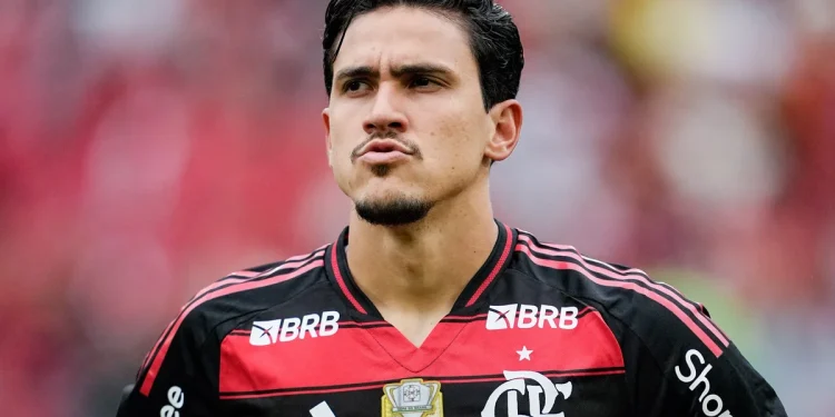 pedro flamengo
