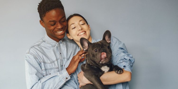 casal com seu pet