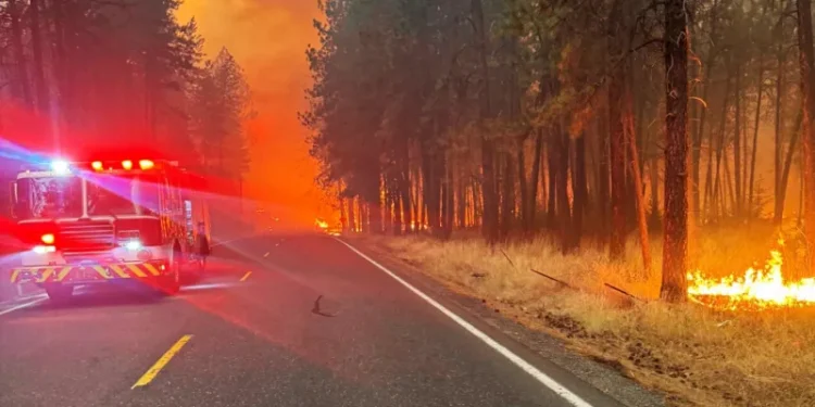 incendio fogo
