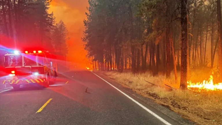 incendio fogo