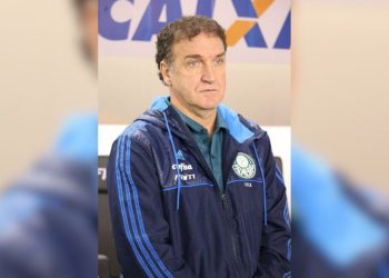 cuca técnico