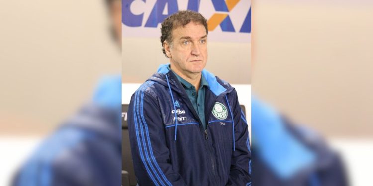cuca técnico