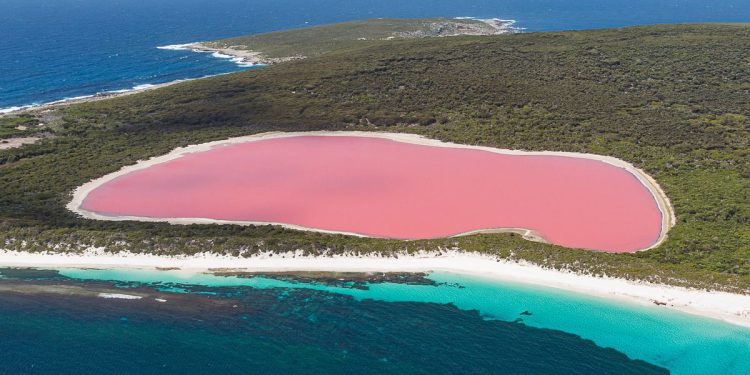 Lago Hillier (Imagem: twenty20photos/envato)