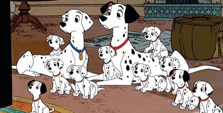 dalmatas disney pitbull