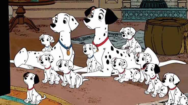 dalmatas disney pitbull
