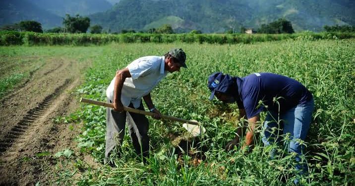 lavoura agro empresa