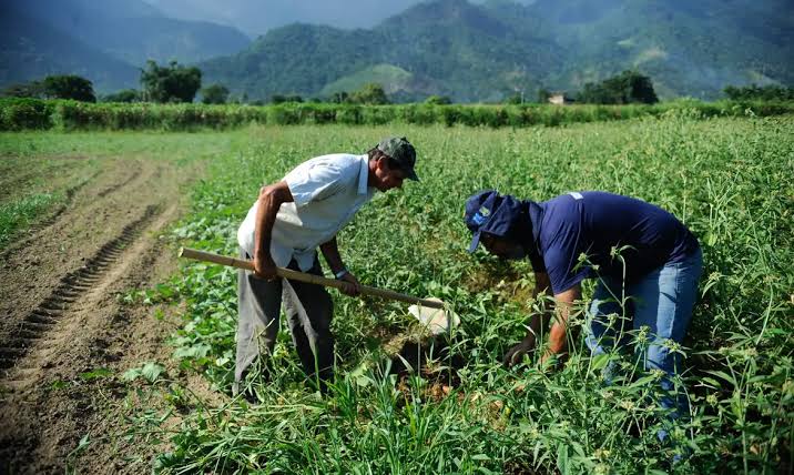 lavoura agro empresa