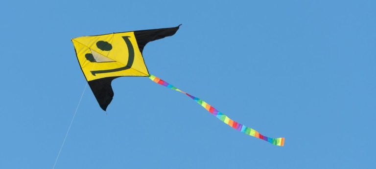 Pipa