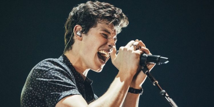 shawn mendes