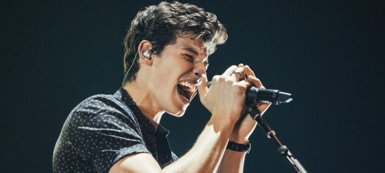 shawn mendes