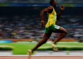 usain bolt cachorro