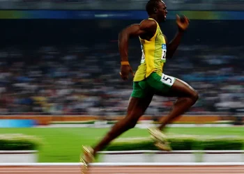 usain bolt cachorro